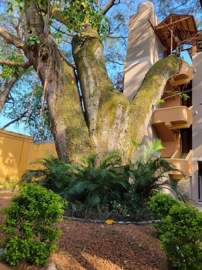 Real Guanacaste Apart otel San Pedro Sula Dış mekan fotoğraf
